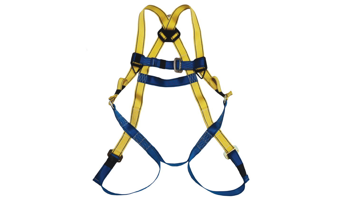 Picture of Full Body Harness